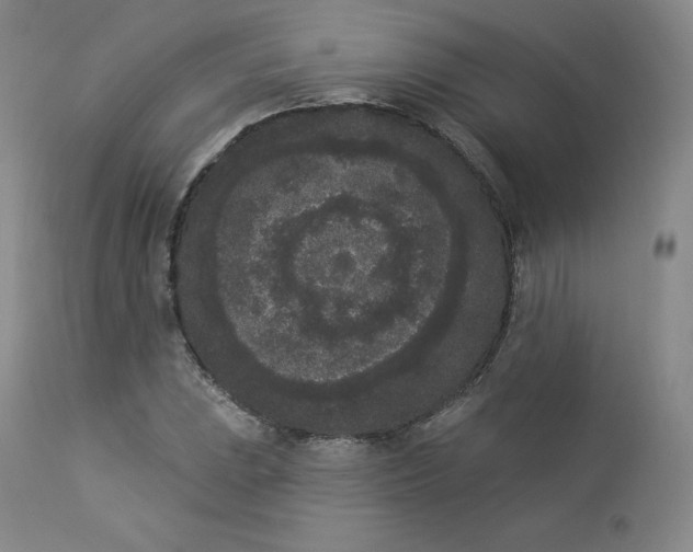 X0000112861023200909041548