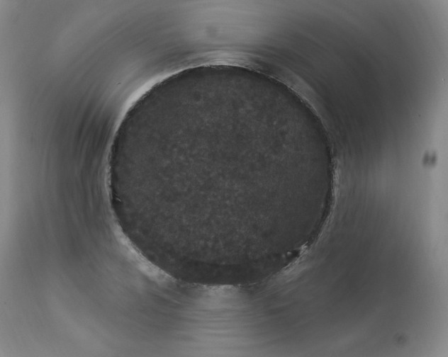 X0000112861024200909041548