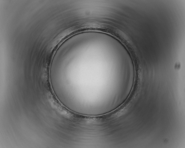 X0000112861025200909041548