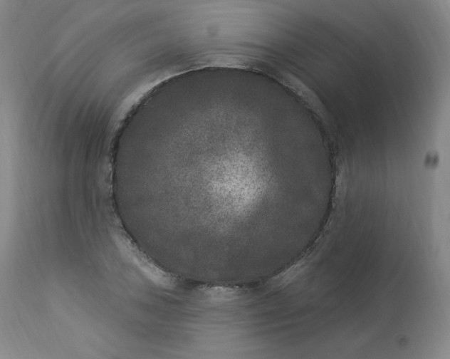 X0000112861027200909041548