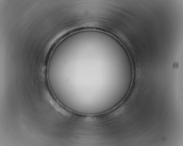 X0000112861029200909041548