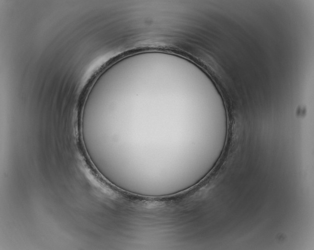 X0000112861030200909041548