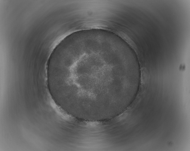 X0000112861031200909041548