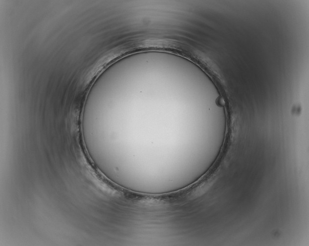 X0000112861033200909041548