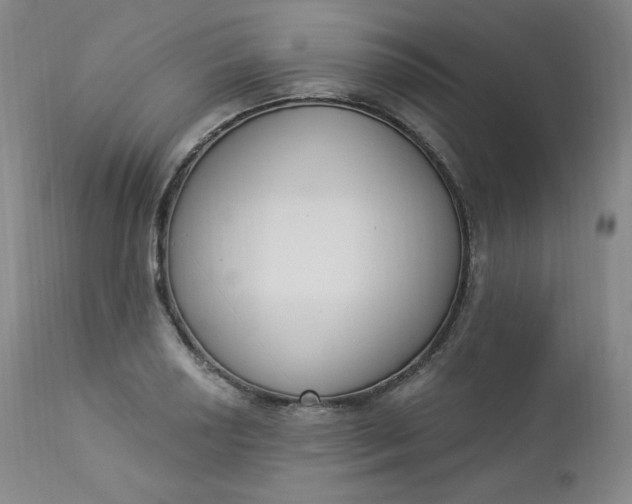 X0000112861034200909041548