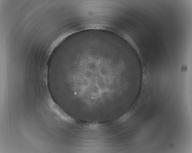 X0000112861035200909041548