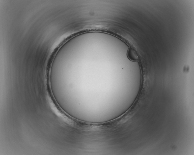 X0000112861038200909041548