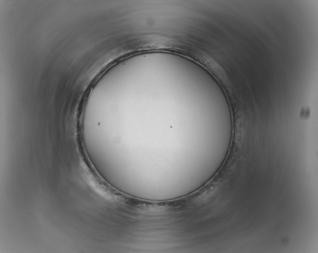 X0000112861039200909041548