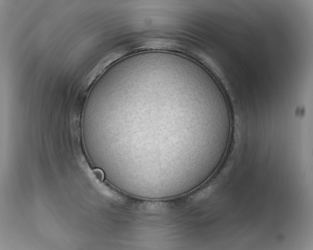 X0000112861041200909041548
