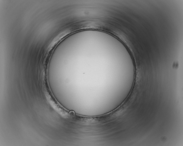 X0000112861042200909041548