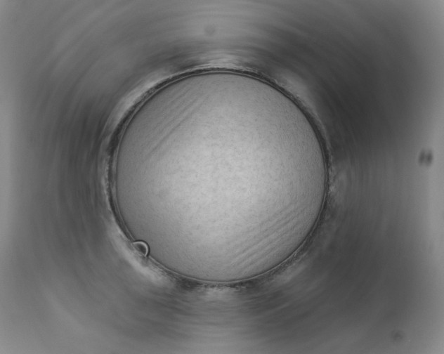 X0000112861043200909041548