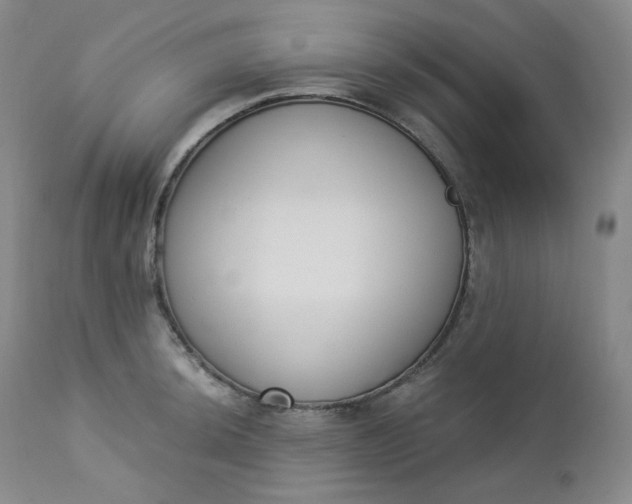 X0000112861044200909041548