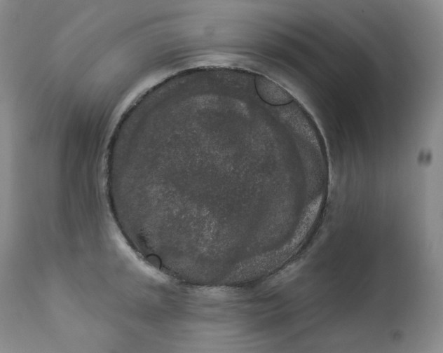 X0000112861045200909041548