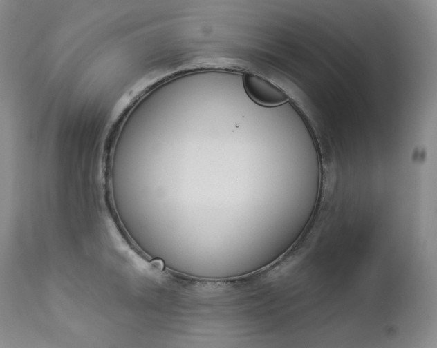 X0000112861046200909041548