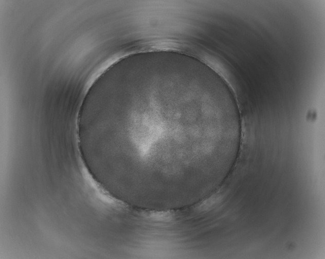 X0000112861047200909041548