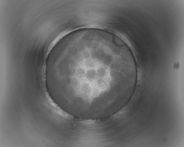 X0000112861048200909041548