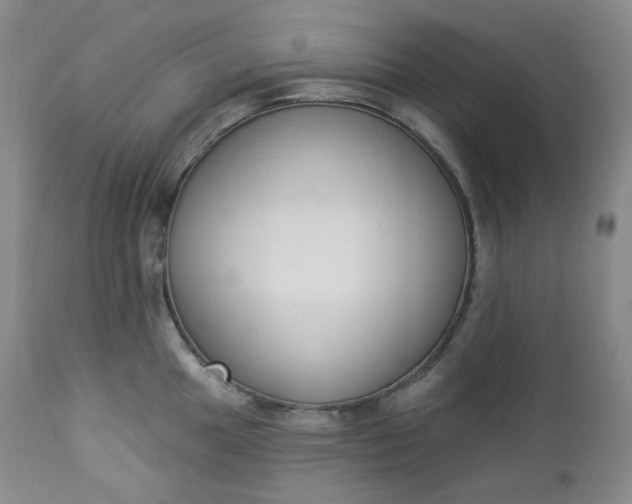 X0000112861049200909041548