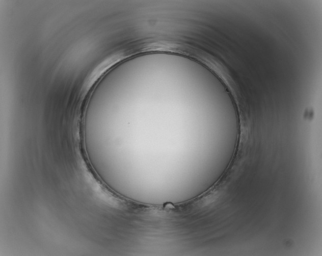 X0000112861050200909041548
