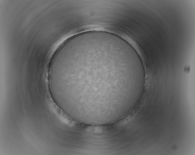X0000112861051200909041548