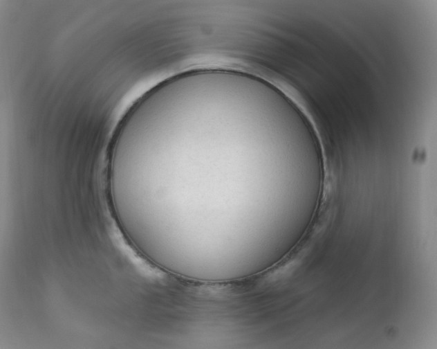 X0000112861053200909041548