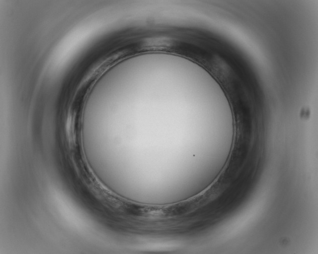 X0000112861054200909041548