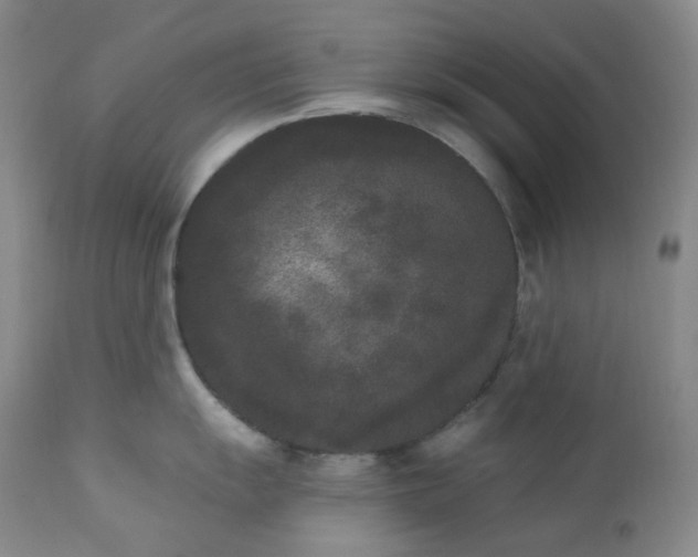 X0000112861055200909041548