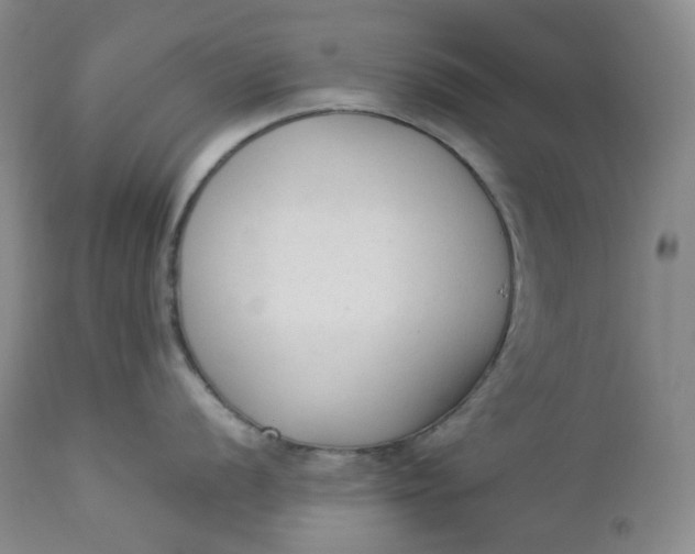 X0000112861056200909041549