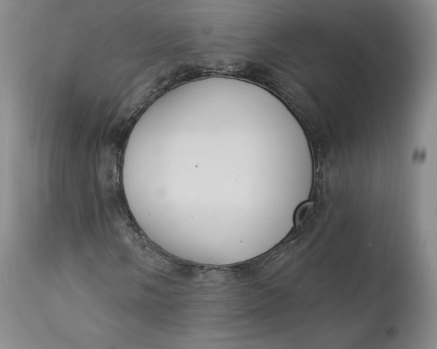 X0000112861058200909041548