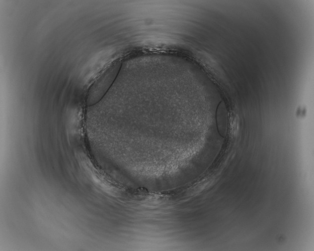 X0000112861060200909041548