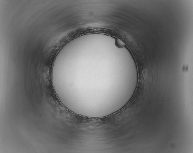 X0000112861062200909041548
