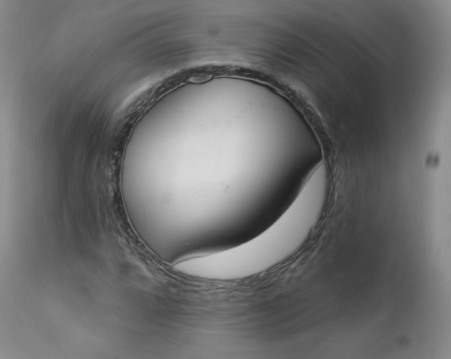 X0000112861064200909041548