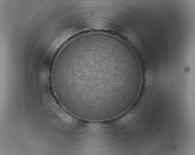 X0000112861065200909041548