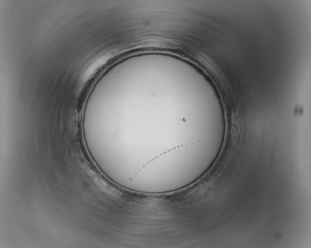 X0000112861067200909041548
