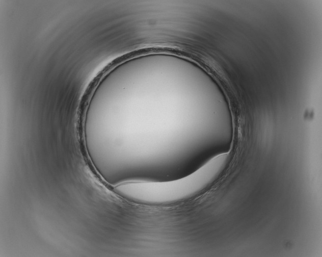 X0000112861068200909041548