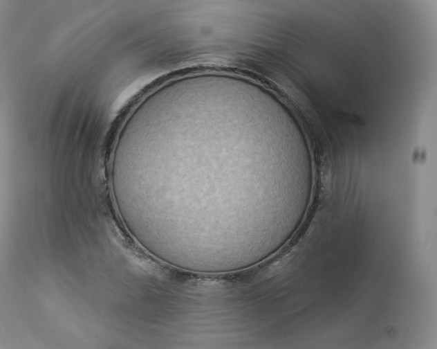 X0000112861070200909041548