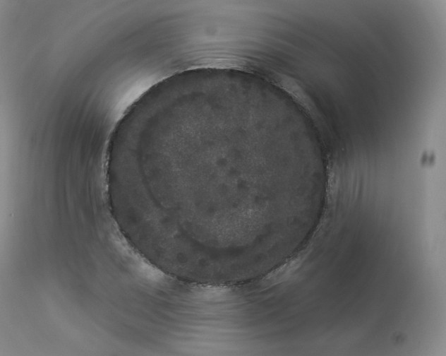 X0000112861071200909041548