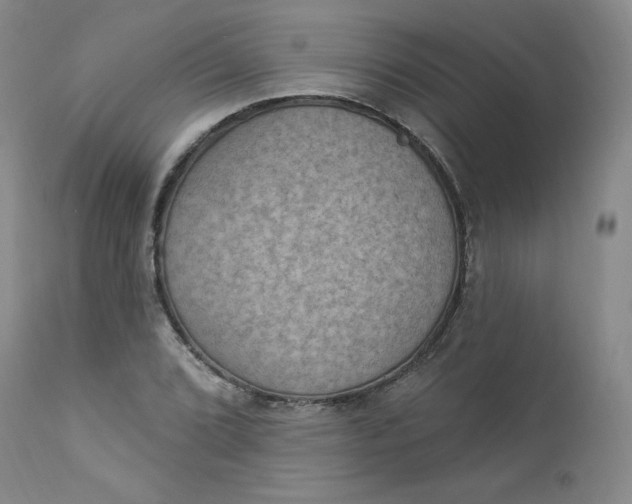 X0000112861072200909041548