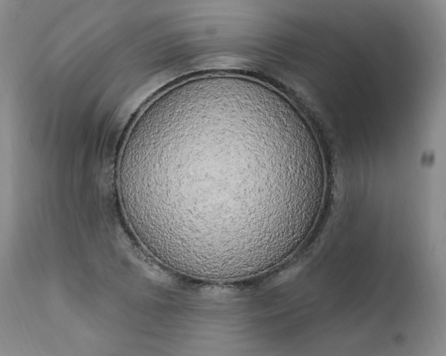 X0000112861073200909041548