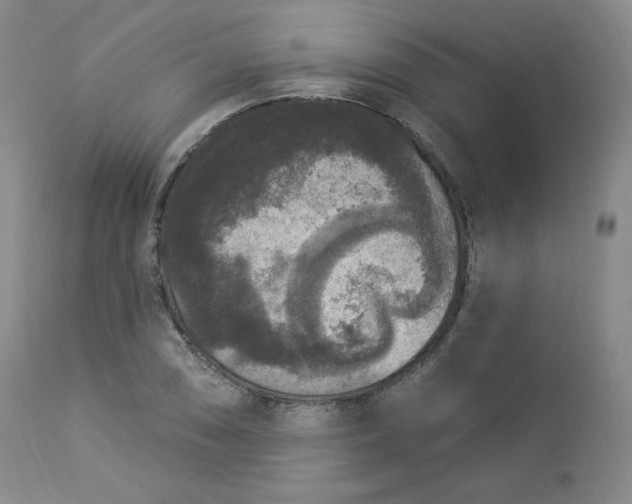 X0000112861074200909041548