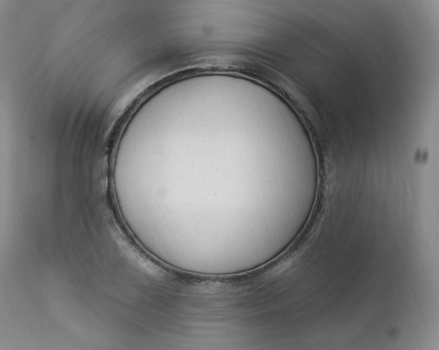 X0000112861075200909041548