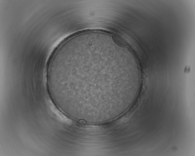 X0000112861076200909041548