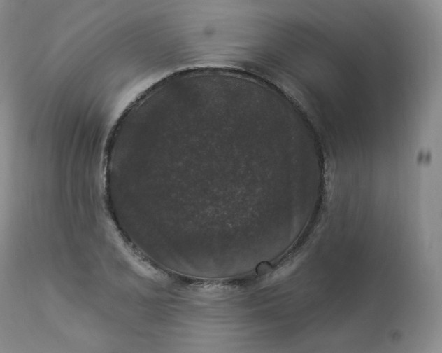 X0000112861077200909041548