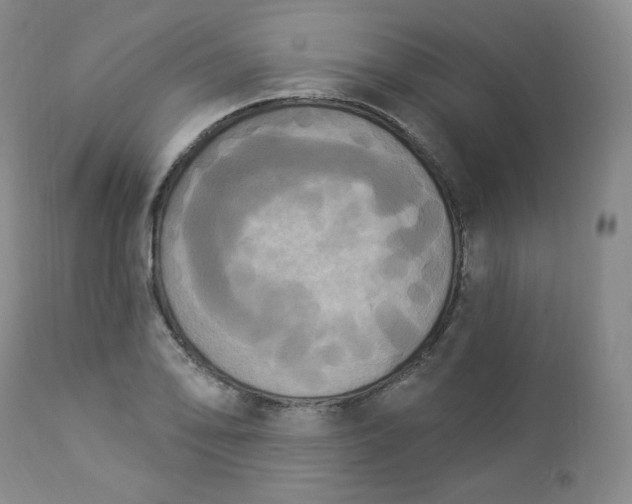 X0000112861078200909041548