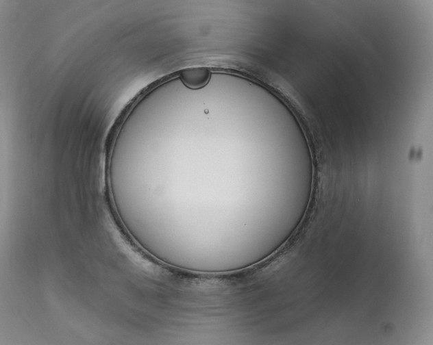 X0000112861079200909041548