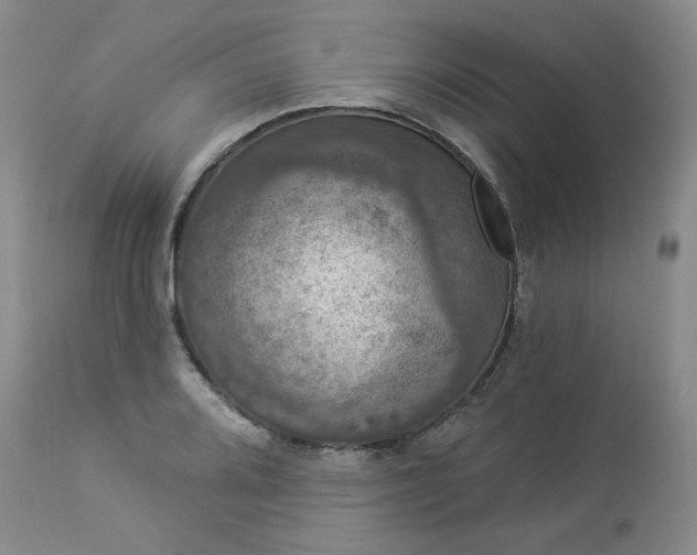 X0000112861080200909041548