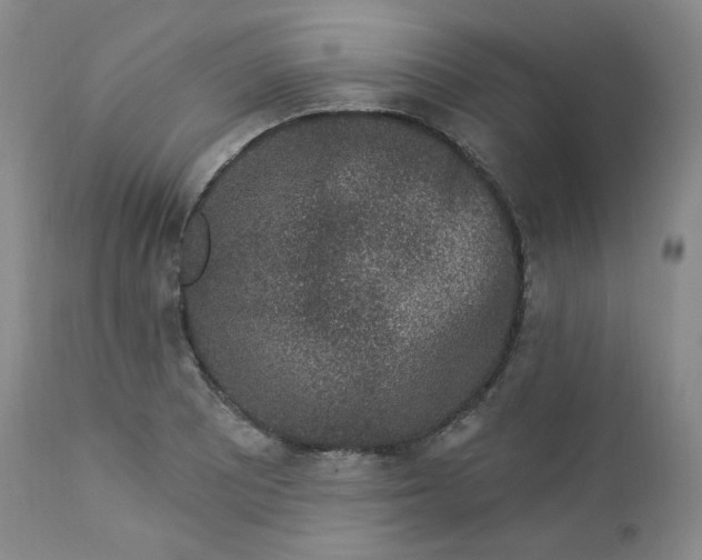 X0000112861081200909041548