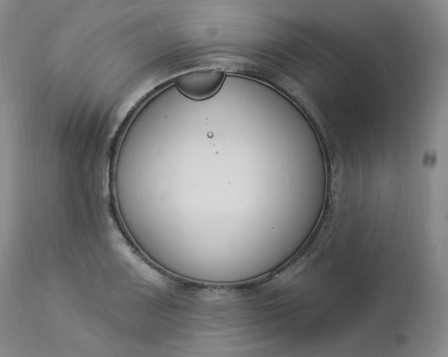 X0000112861083200909041547
