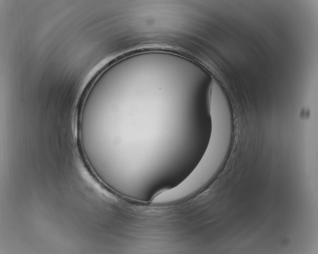X0000112861084200909041547