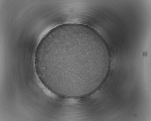 X0000112861086200909041547