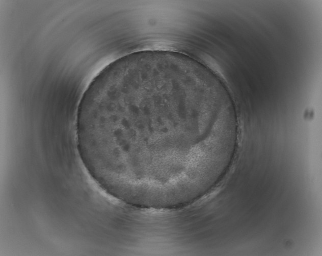 X0000112861087200909041547